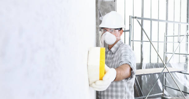 Best Environmental Consulting for Mold Prevention in USA